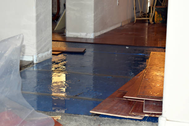 Professional Basement Flood Cleanup technician working in Lena, MS
